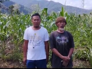 Kelompok Tani Padasuka Sambandete Panen Jagung, Polres dan Pemda Konawe Utara Dukung Peningkatan Produksi Pangan