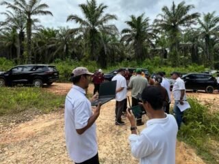 Hilirisasi Pangan Nasional, Holding Perkebunan Nusantara Melalui PalmCo Siapkan Lahan Peternakan Ayam Terintegrasi