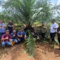 Holding Perkebunan Nusantara melalui PTPN IV Regional V Mutasikan TBM-3 ke TM-1 Seluas 1.119 Hektare pada Awal 2026