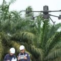 Manajemen Vegetasi dan Analisis Koridor Transmisi dengan Software LiDAR Terrasolid