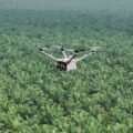 Pemantauan Keamanan Hutan dan Deteksi Kebakaran Lahan dengan DJI Dock 3