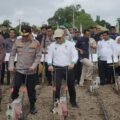 Dukung Ketahanan Pangan, Holding Perkebunan Nusantara Lewat PalmCo Perkuat Kemitraan Petani di Jambi