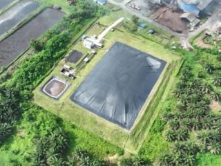 Holding Perkebunan Nusantara Perkuat Transisi Energi Bersih melalui Perdagangan Karbon PTPN IV PalmCo
