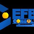 Solusi Strategis Konsultan Bisnis Efba Consulting dalam Menaikkan Angka Penjualan Di 2026