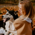 Sering Dianggap Mirip Serigala, Ini Fakta Menarik tentang Anjing Husky