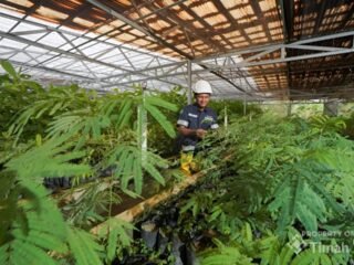 Grup MIND ID Reklamasi 8.000 Hektare Lahan dan Rehabilitasi DAS 37.700 Hektare, Perbaiki Kualitas Keanekaragaman Hayati