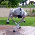 Robot Unitree Go2 untuk Edutainment dan Interaksi Publik