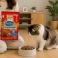 Dry Food Kucing yang Bagus untuk Kesehatan dan Nutrisi Anabul