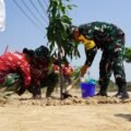 Dari Pohon yang Ditanam hingga Green House yang Dibangun, TMMD Kodim 0726/Sukoharjo Hadirkan Manfaat Nyata