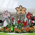 Winds of Wonders Ajak Keluarga Eksplorasi Imajinasi di Hublife